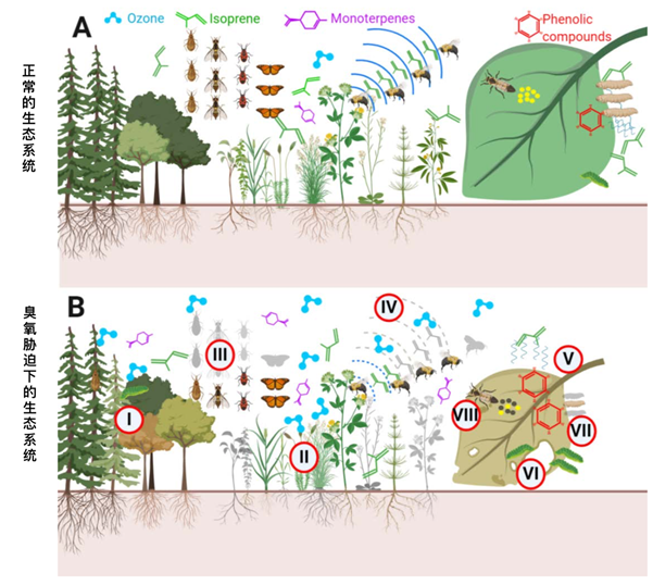 A screenshot of a cell phone

Description automatically generated